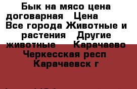 Бык на мясо цена договарная › Цена ­ 300 - Все города Животные и растения » Другие животные   . Карачаево-Черкесская респ.,Карачаевск г.